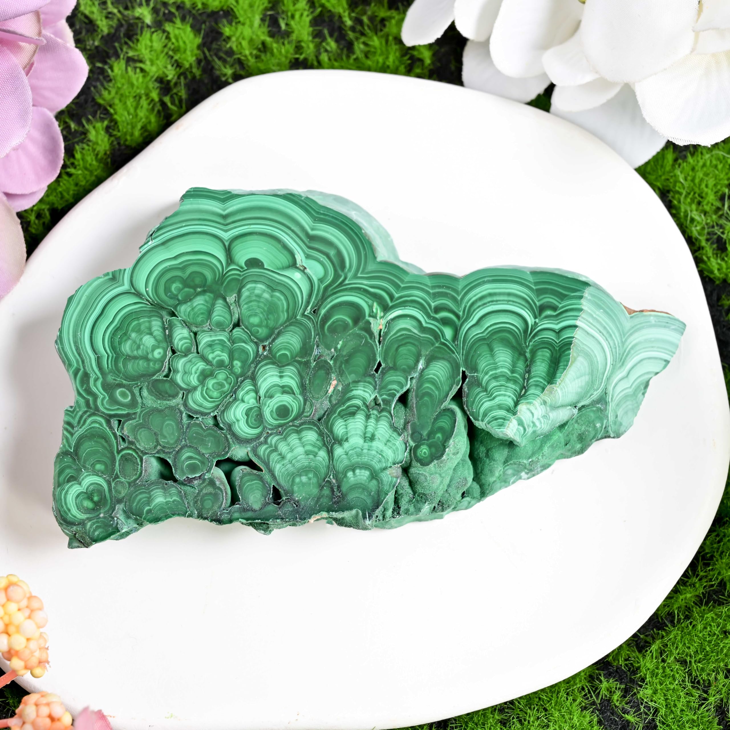 CrystalHola malachite slice large display piece in natural green tones