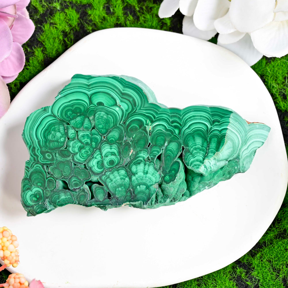 CrystalHola malachite slice large display piece in natural green tones