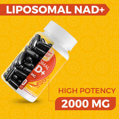 Cuerpo Sano NAD-2000mg liposomal technology graphic illustrating improved absorption and potential efficacy.