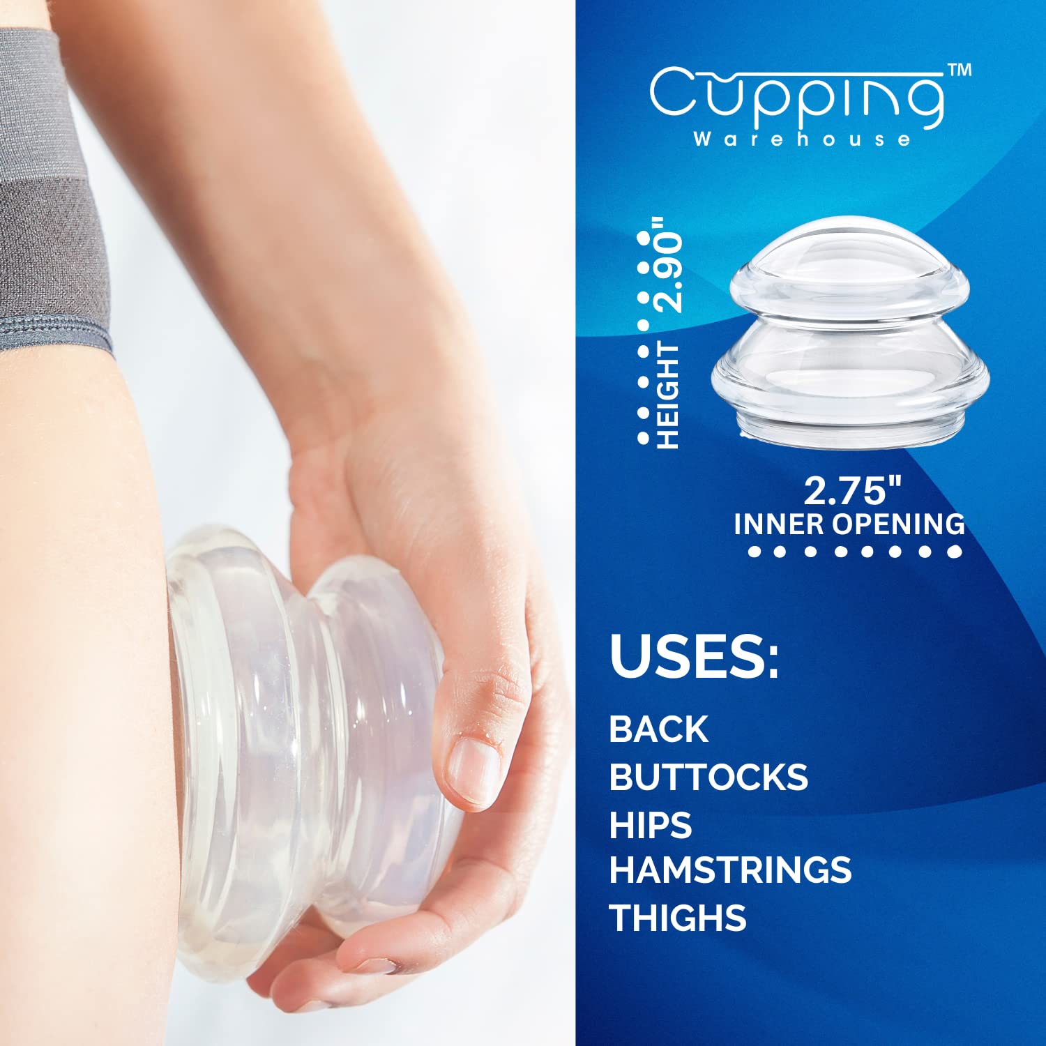 Cupping Warehouse Advanced Hard Supreme 6065 deep suction capability supports focused muscle relief.