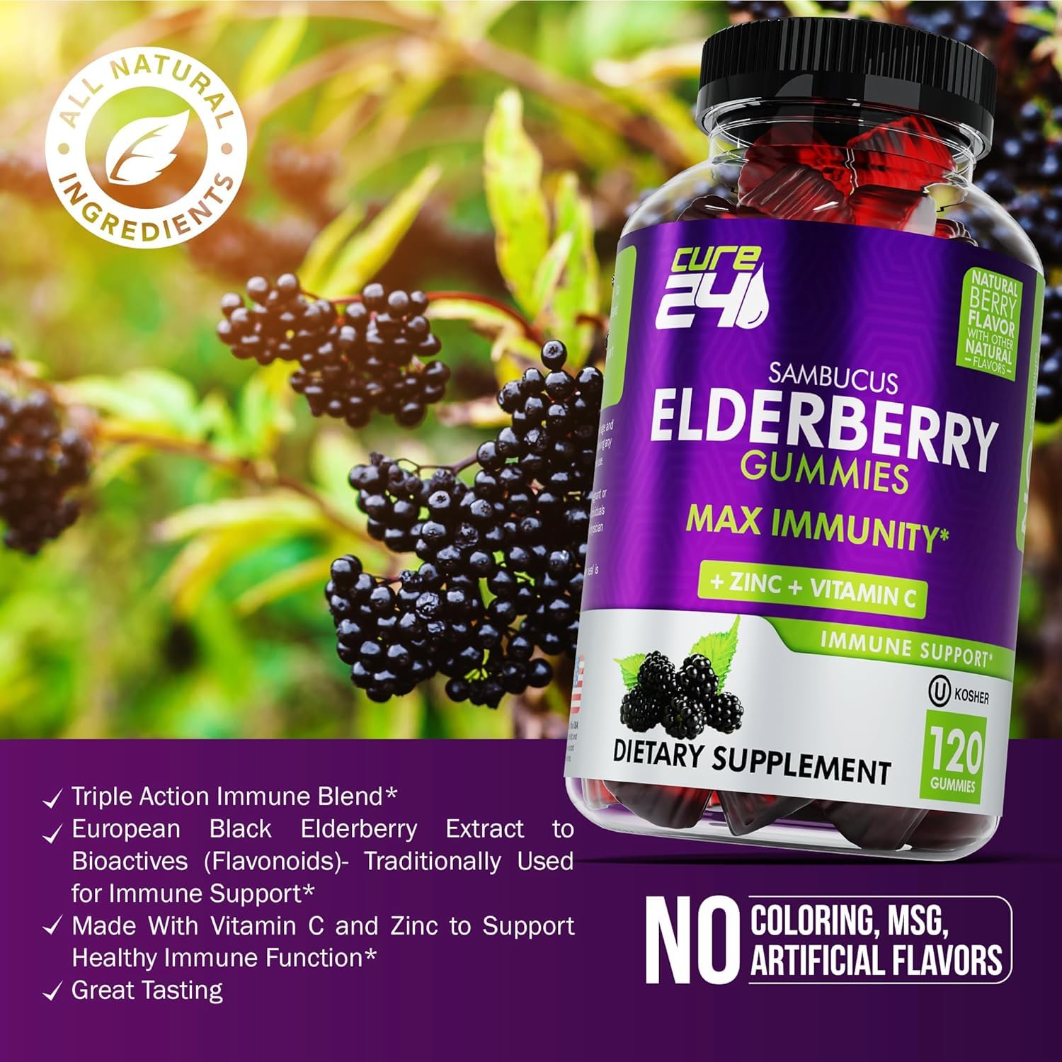 Cure24 Sambucus Gummies adults daily routine with bottle and water