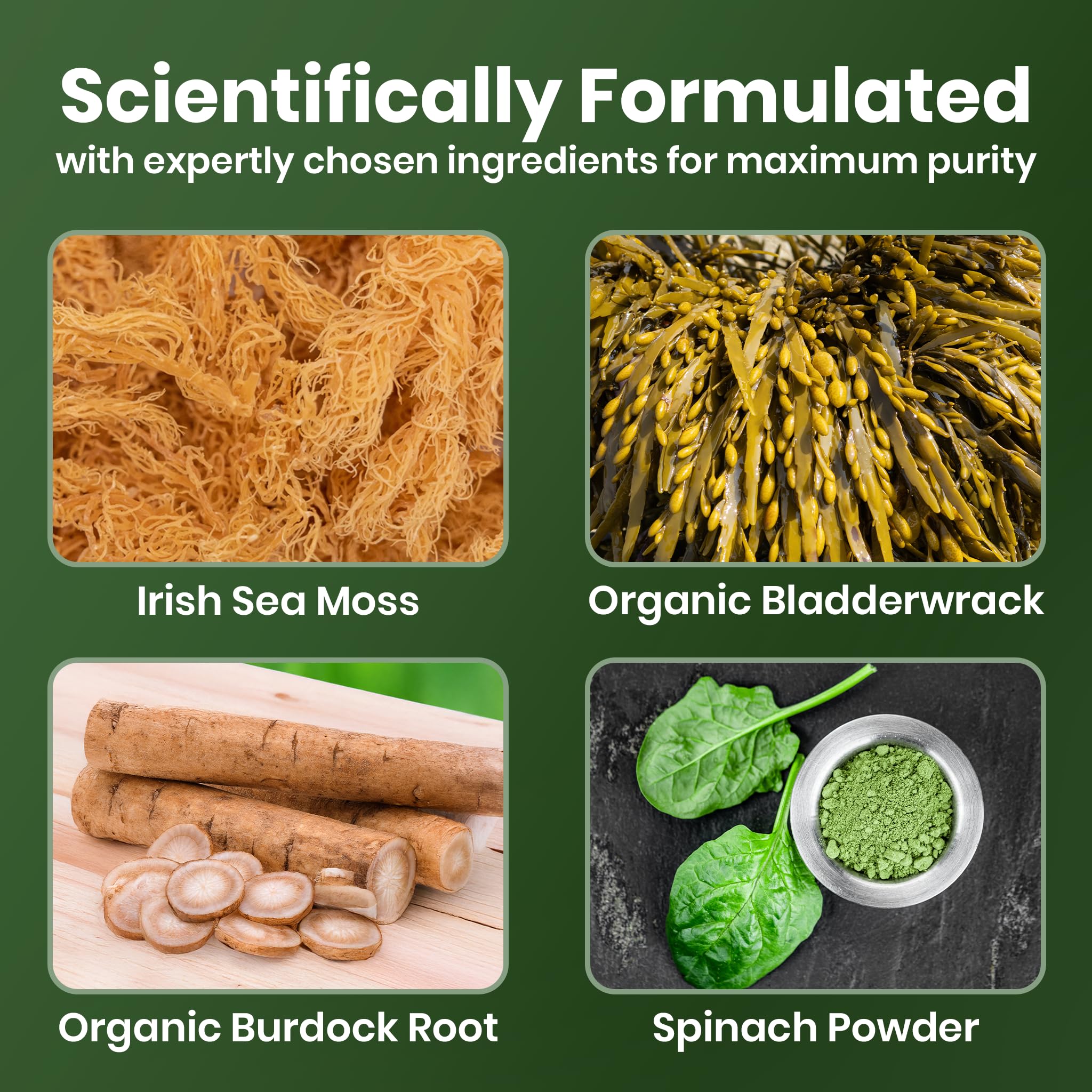 Cured Sea Moss Gummies ingredients with bladderwrack and burdock root for gut-friendly nutrition.