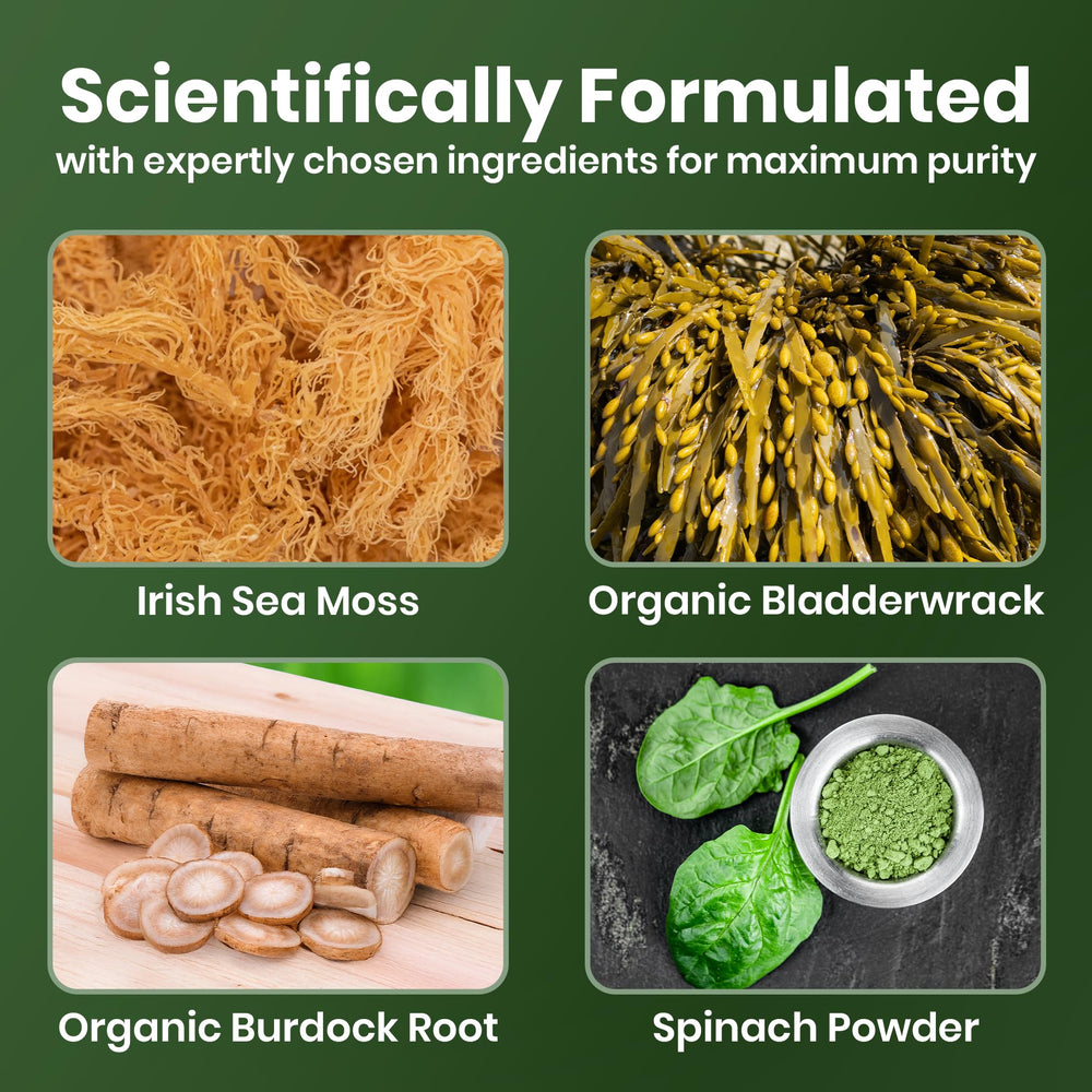Cured Sea Moss Gummies ingredients with bladderwrack and burdock root for gut-friendly nutrition.