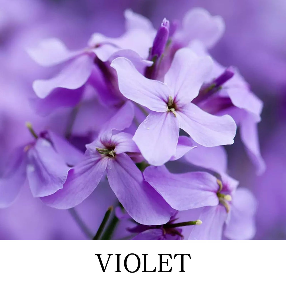 CWEGSJ Violet candle gift for mom—creates comforting atmosphere during special occasions.