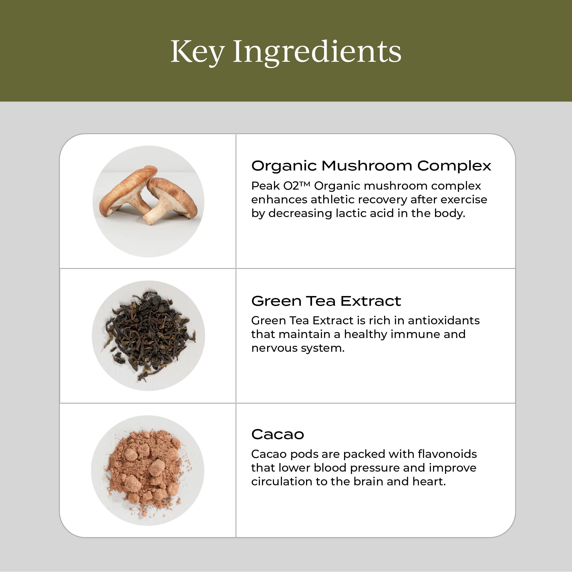 CYMBIOTIKA Chocolate Fudge flavor close-up with creamy taste cue for daily wellness.