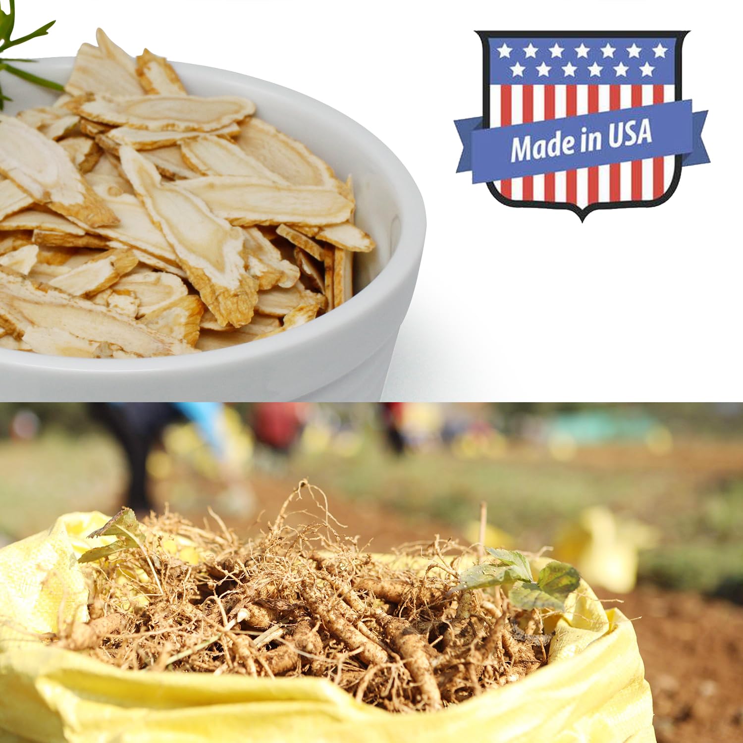 DABC OAK LAND dried ginseng slices ready to simmer.