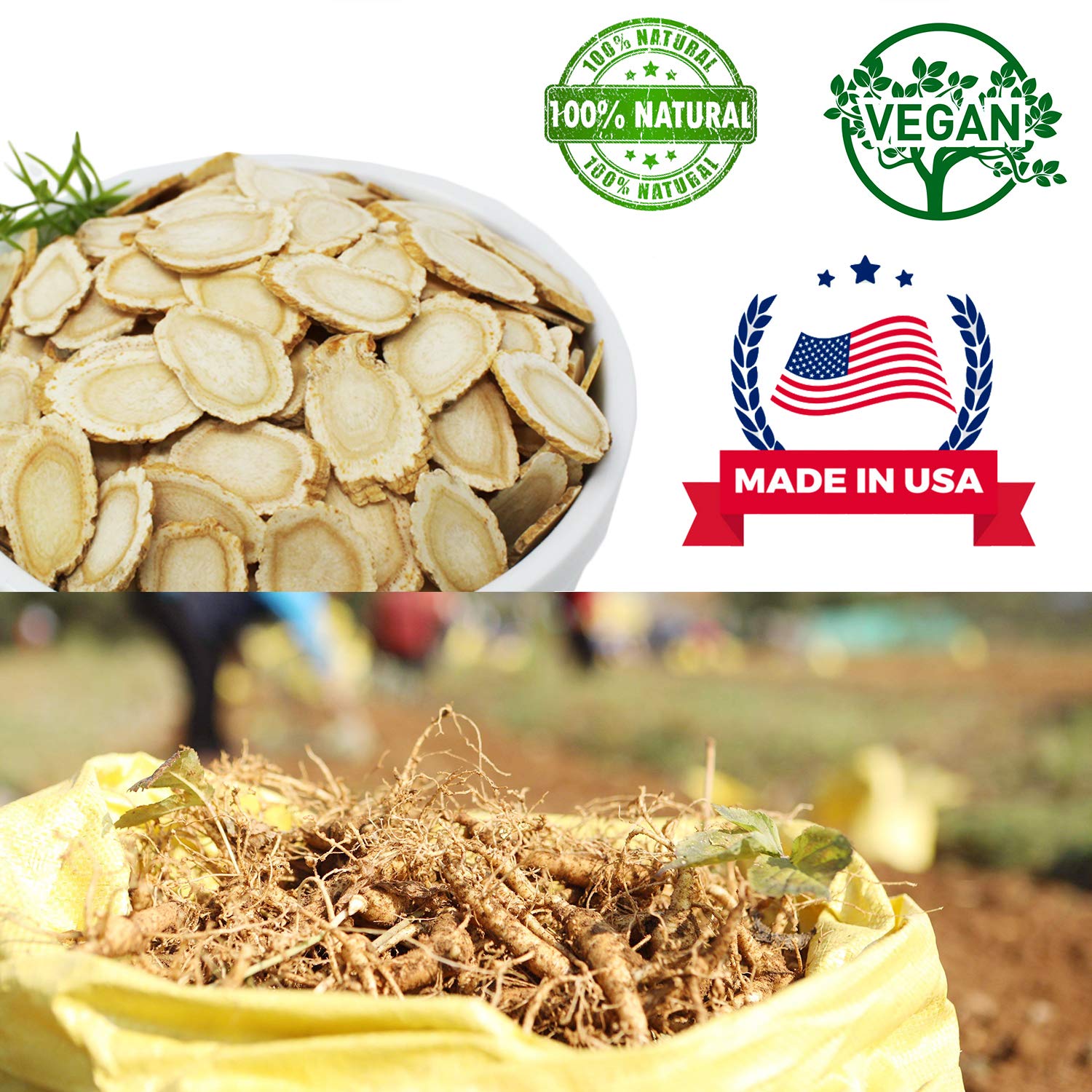 DABC OAK LAND energy-boosting ginseng slices for daily use.