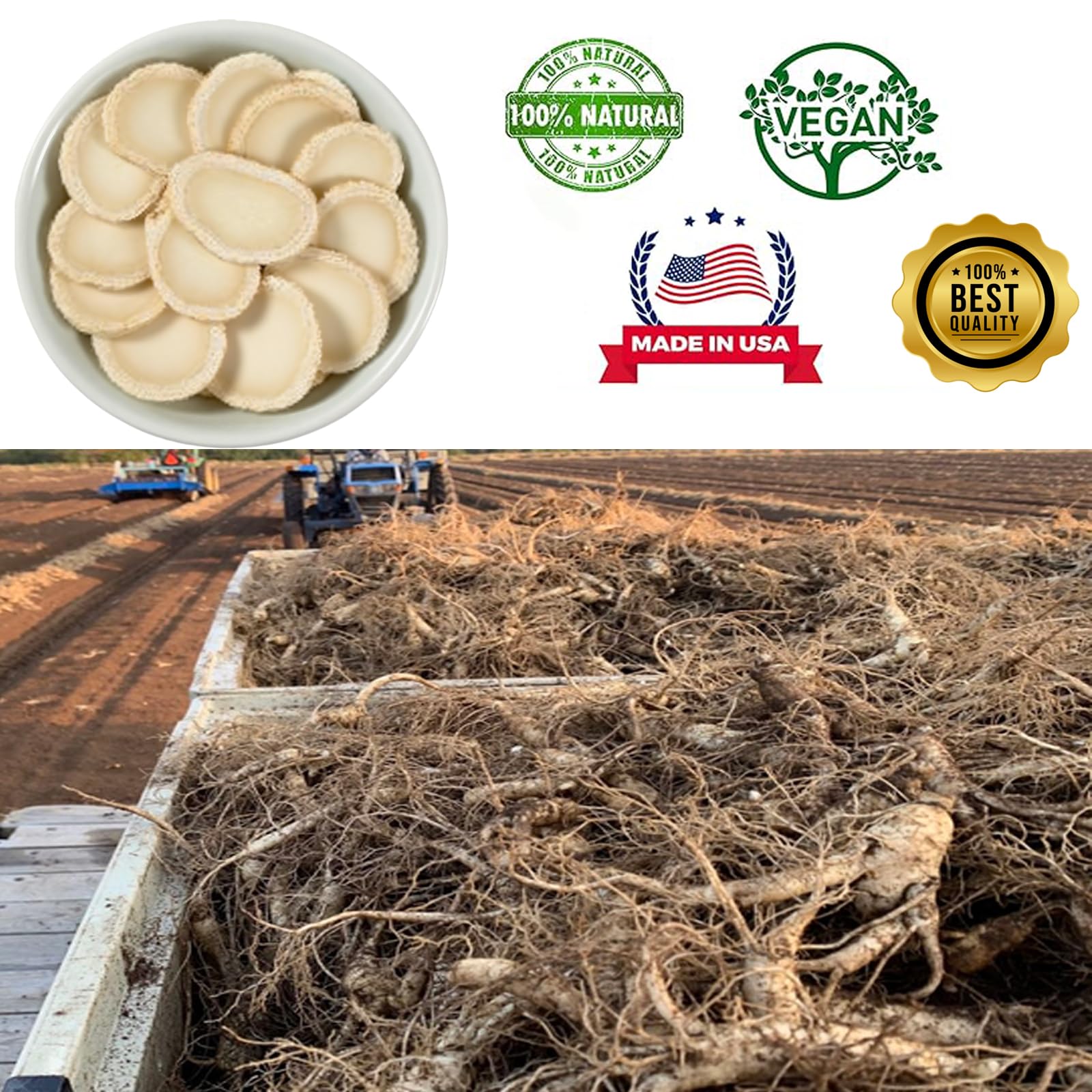 DABC OAK LAND American Ginseng Slices raw slices close-up ideal for tea infusion.