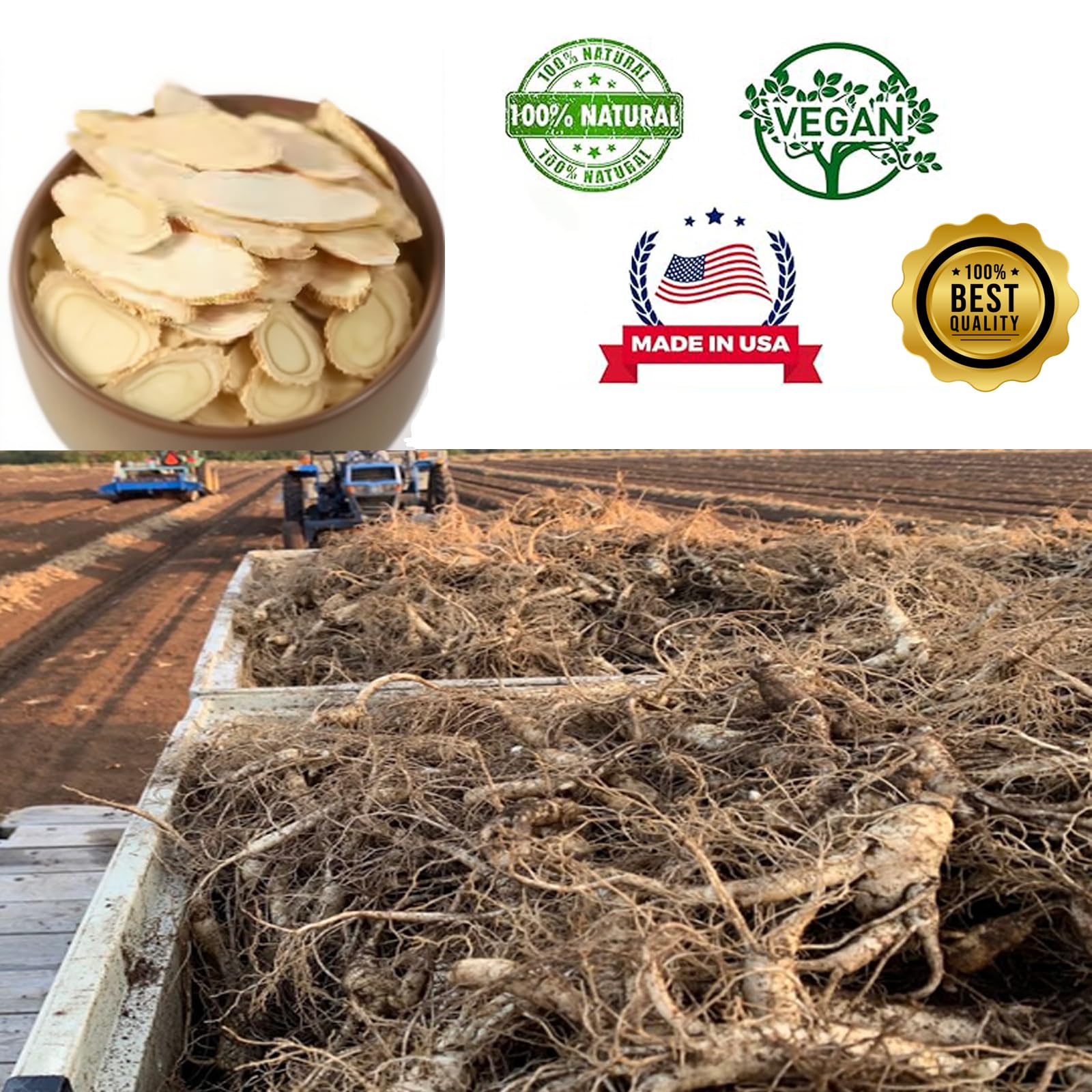 DABC OAK LAND American Ginseng slices raw for quick vitality.