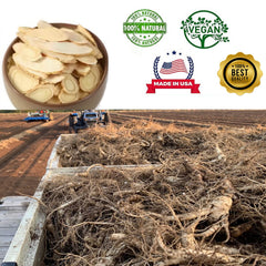 DABC OAK LAND American Ginseng slices raw for quick vitality.
