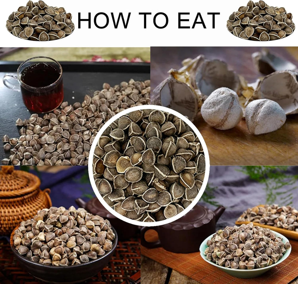 DABC OAK LAND moringa seeds arranged for pantry and cooking