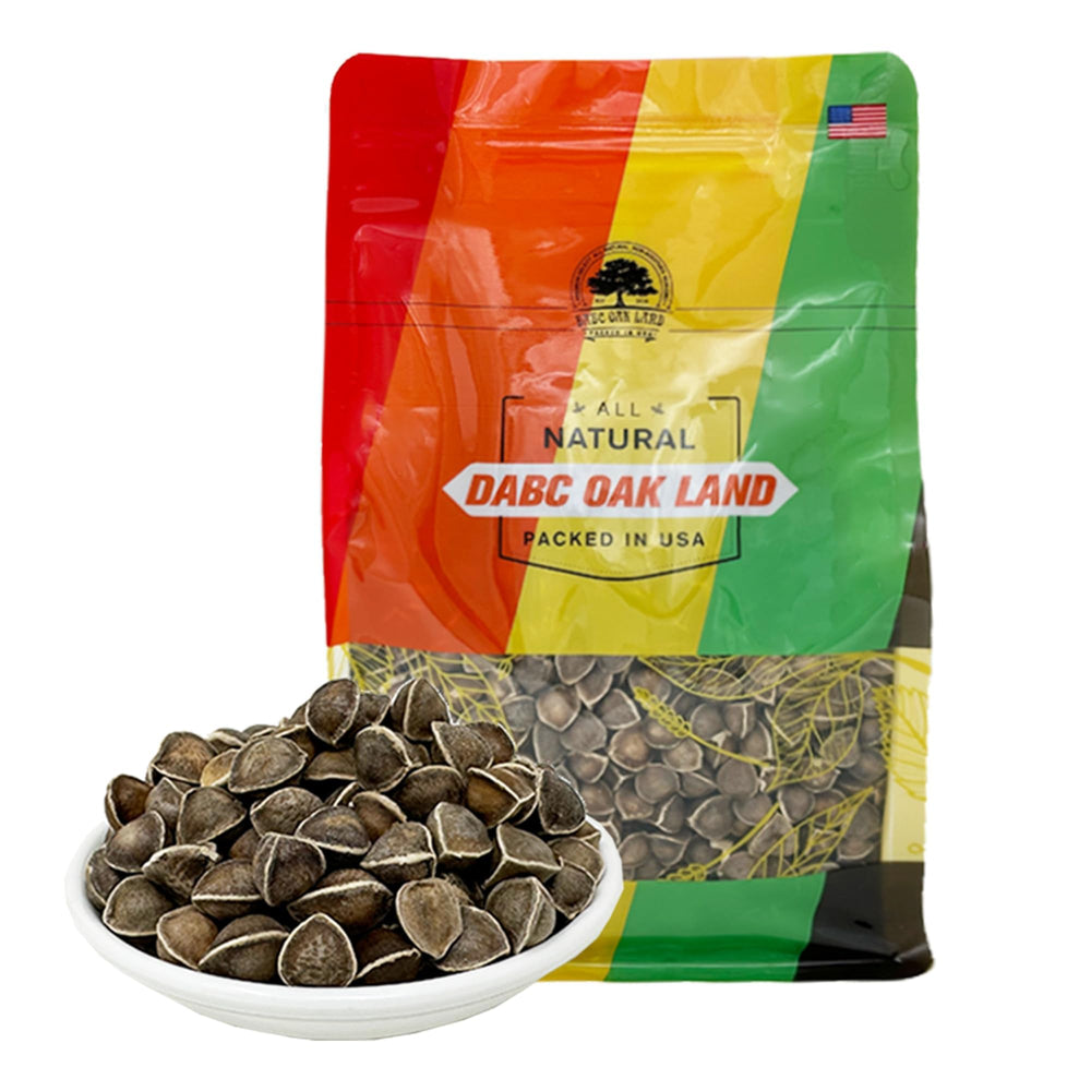 DABC OAK LAND premium moringa seed bag 8oz ready for daily nutrition and use