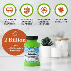 Daily Manufacturing L-Salivarius capsules in hand for daily digestive support