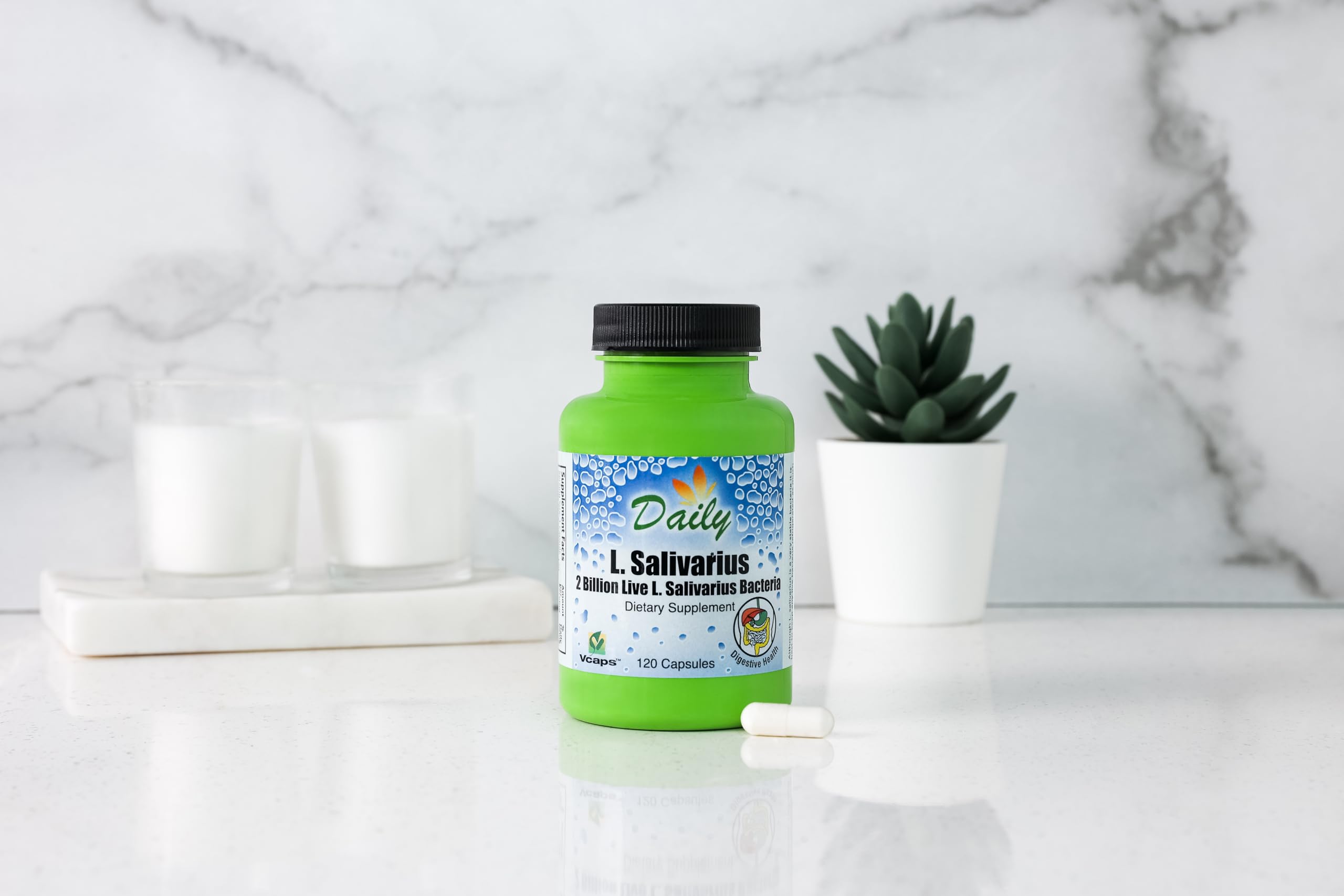 Daily Manufacturing L-Salivarius bottle stored in fridge for live cultures