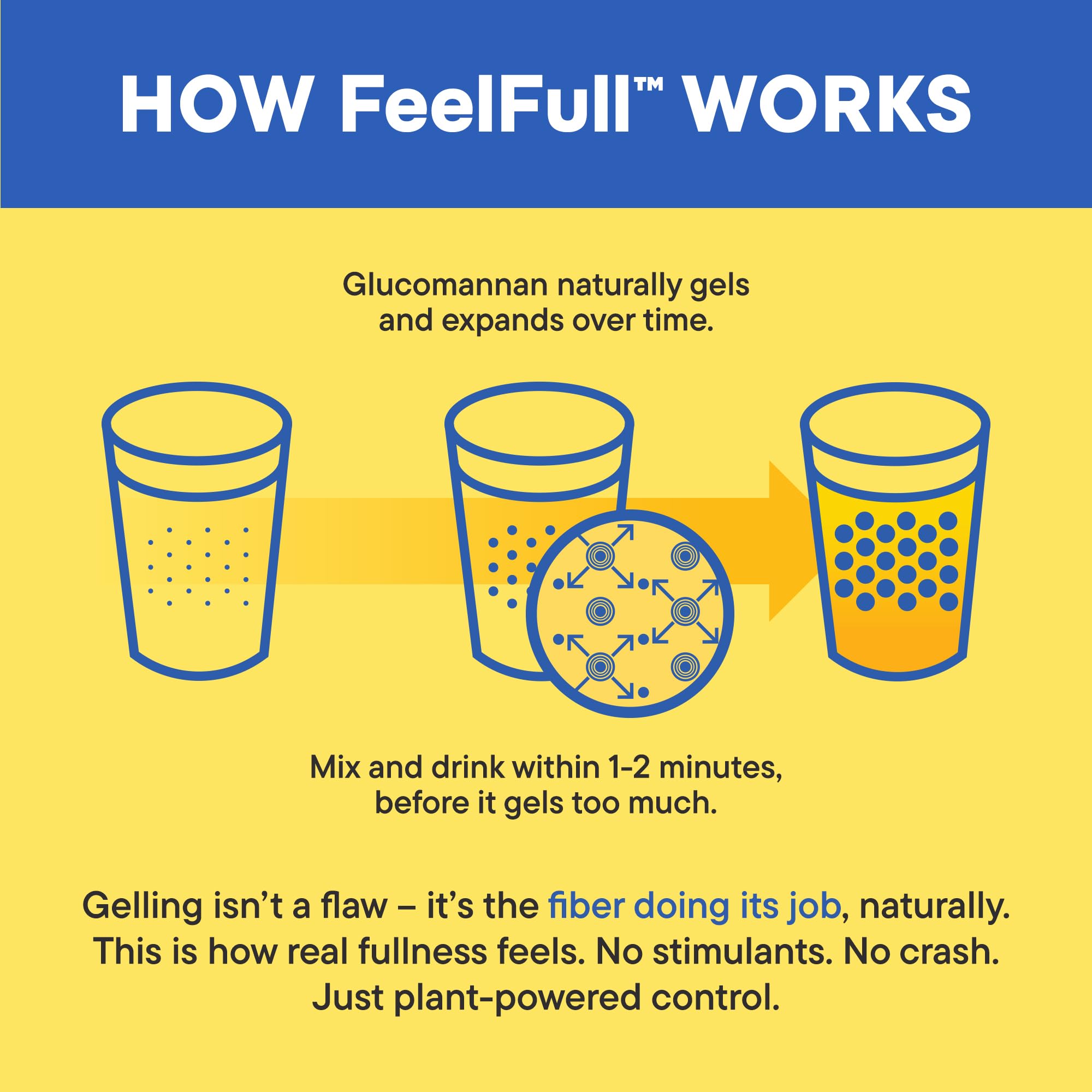 Daily Nouri FeelFull gut health graphic illustrating fullness and appetite cues