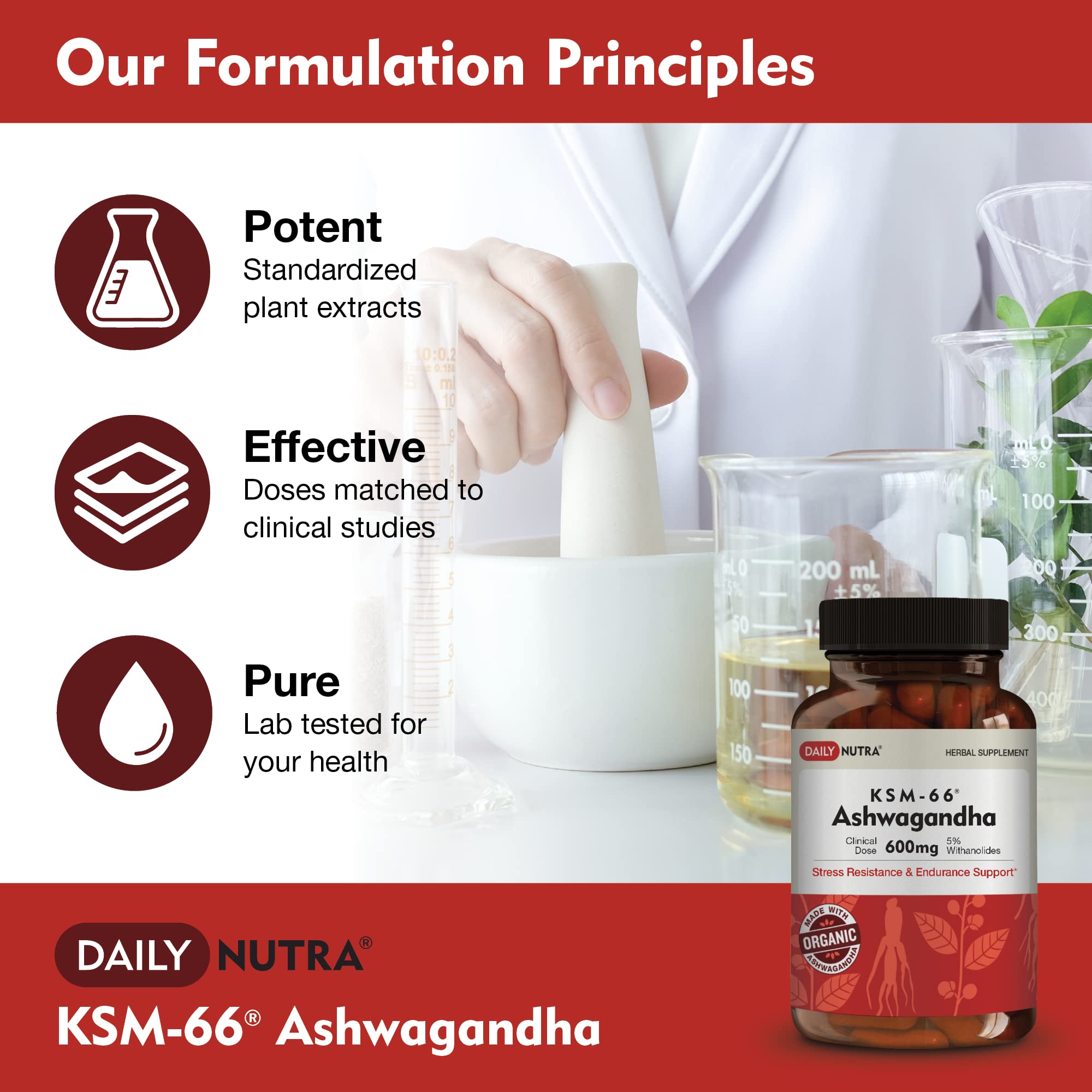 Bioperine note on DailyNutra KSM-66 bottle for enhanced absorption.