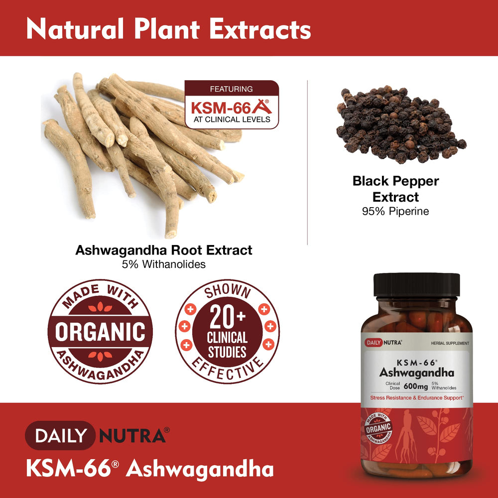 DailyNutra KSM-66 Ashwagandha capsules closeup highlighting high-potency dose.