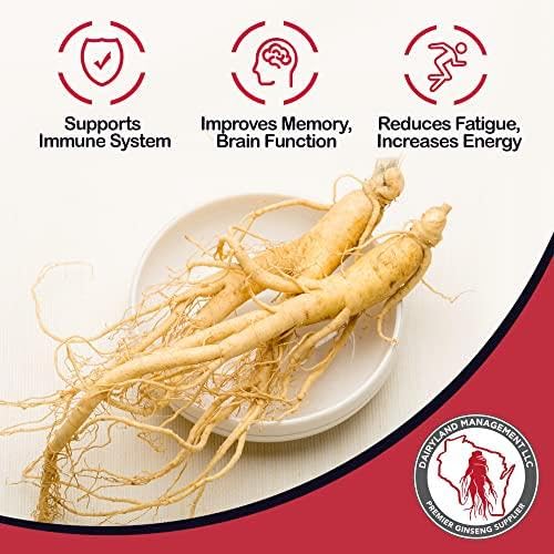 Dairyland American Ginseng Powder sealed jar preserves freshness for baking and beverages