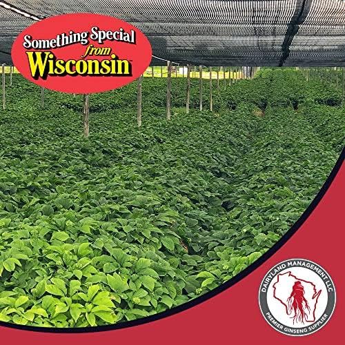 Dairyland American Ginseng Powder tea-mixing blends smoothly into hot beverages