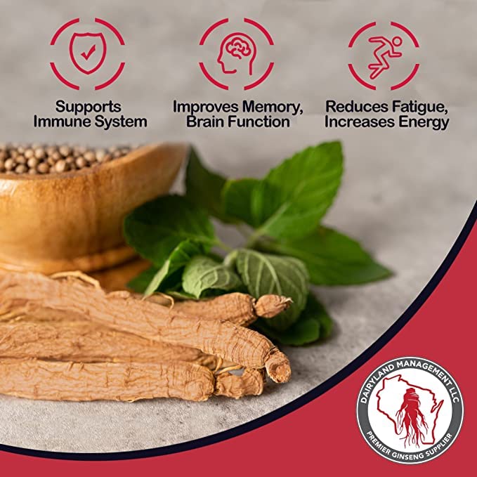 Dairyland Panax Ginseng Powder scoop shows easy mixing.