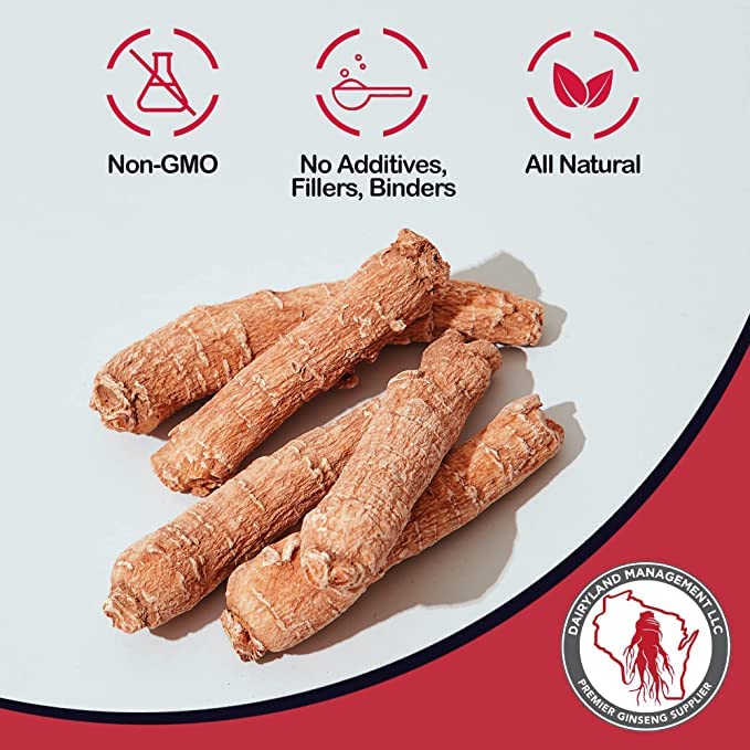 Dairyland Red Panax Ginseng Powder container shot for smoothies.