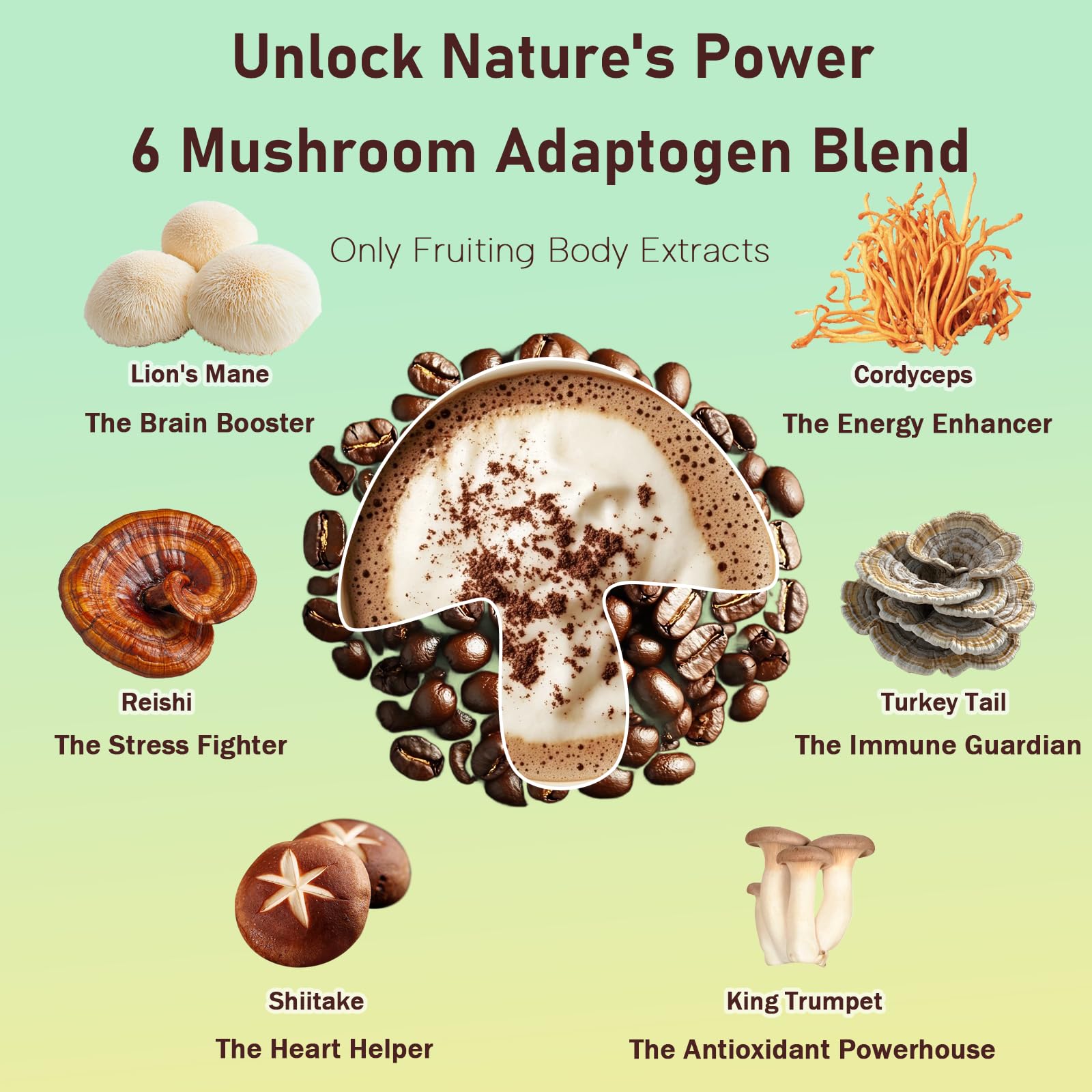 Daitea Mushroom Coffee powder closeup reveals textured mushroom extracts and a smooth roast.