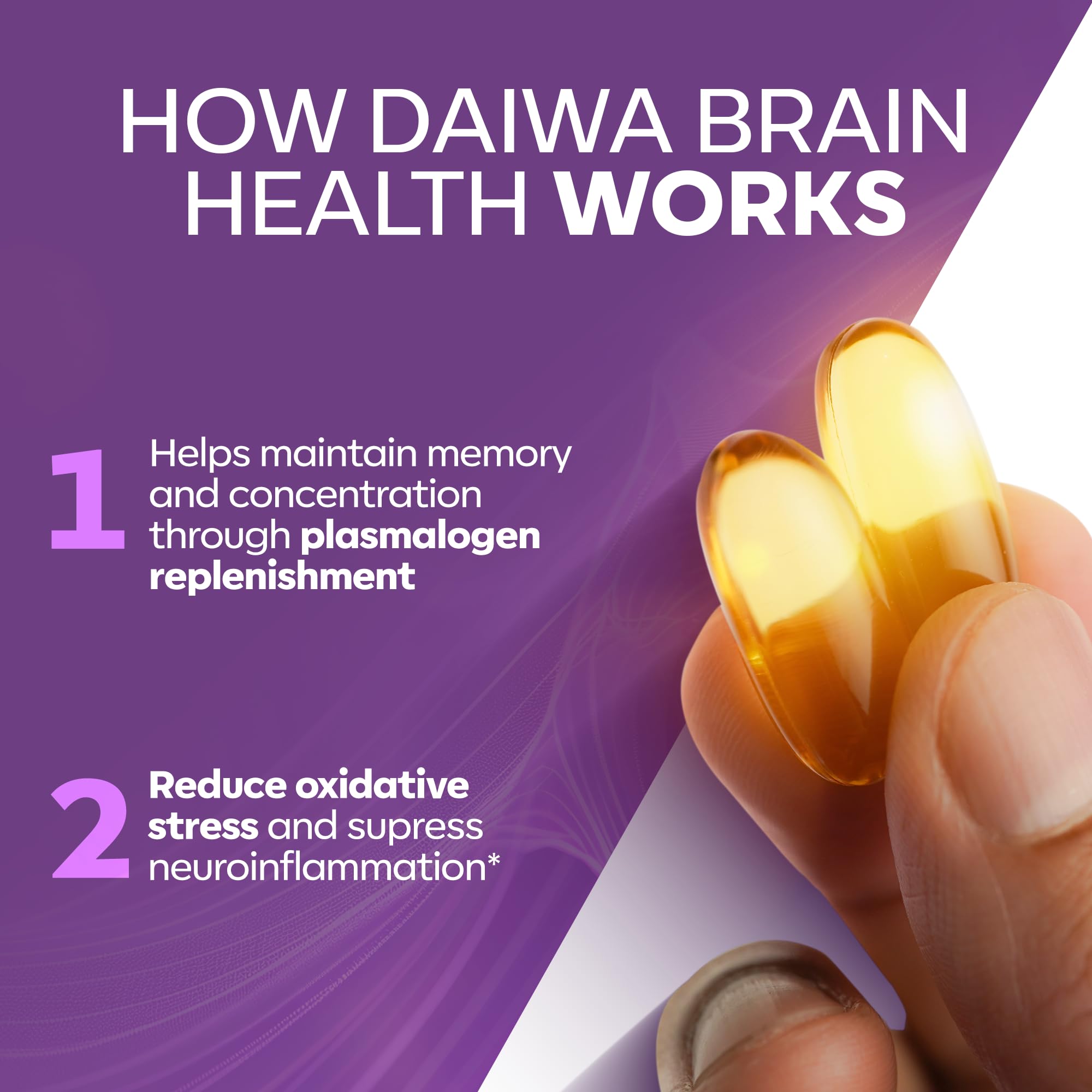 Close-up of the Daiwa Brain Omega-3 label showing HSOP ingredients.