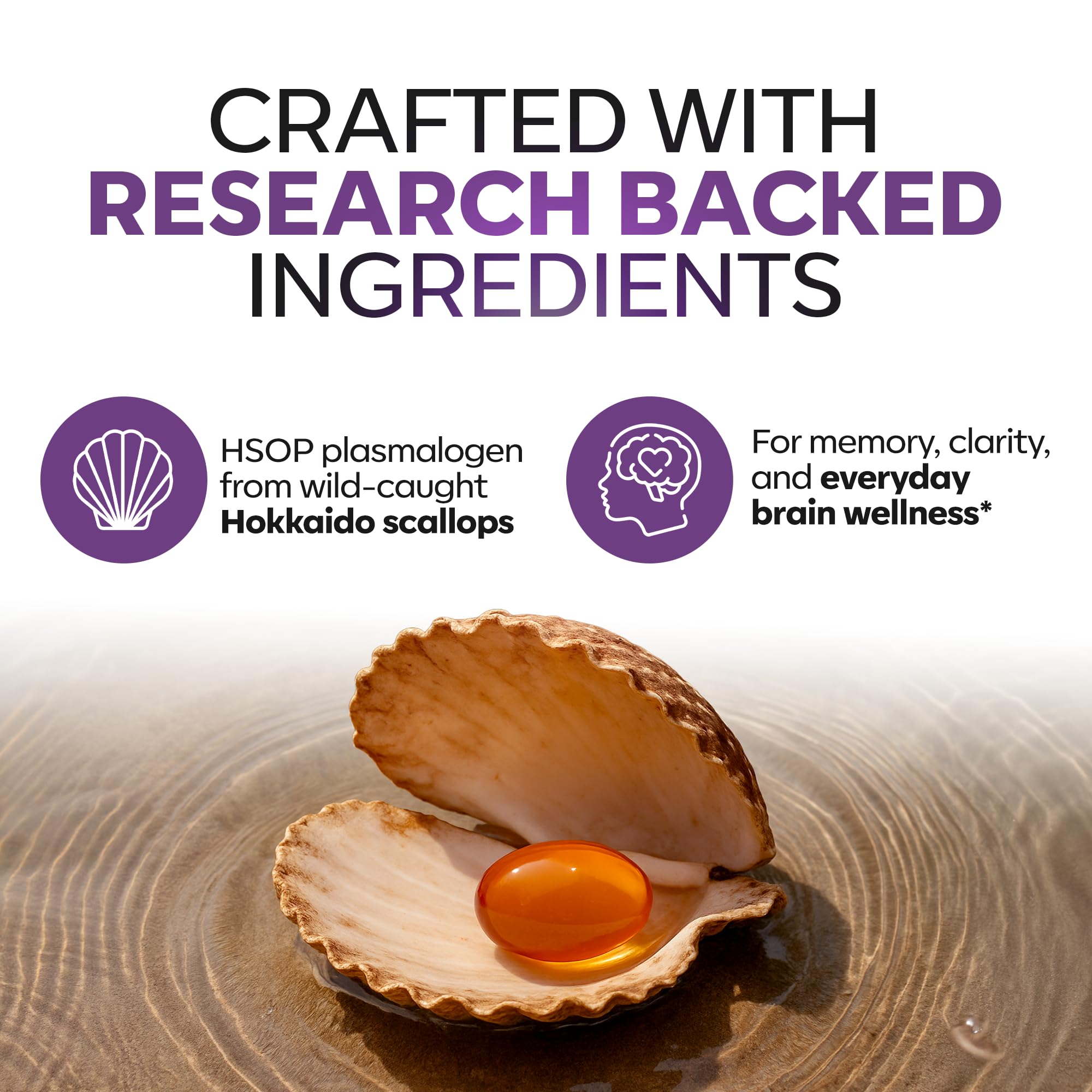 Graphic highlighting plasmalogen blend in Daiwa’s formulation for brain wellness.