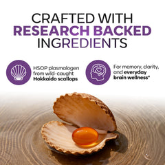 Graphic highlighting plasmalogen blend in Daiwa’s formulation for brain wellness.