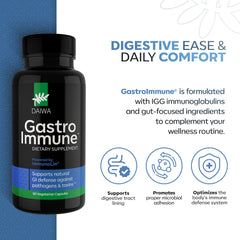 Daiwa GastroImmune capsules close-up, highlighting convenient two-capsule daily dose