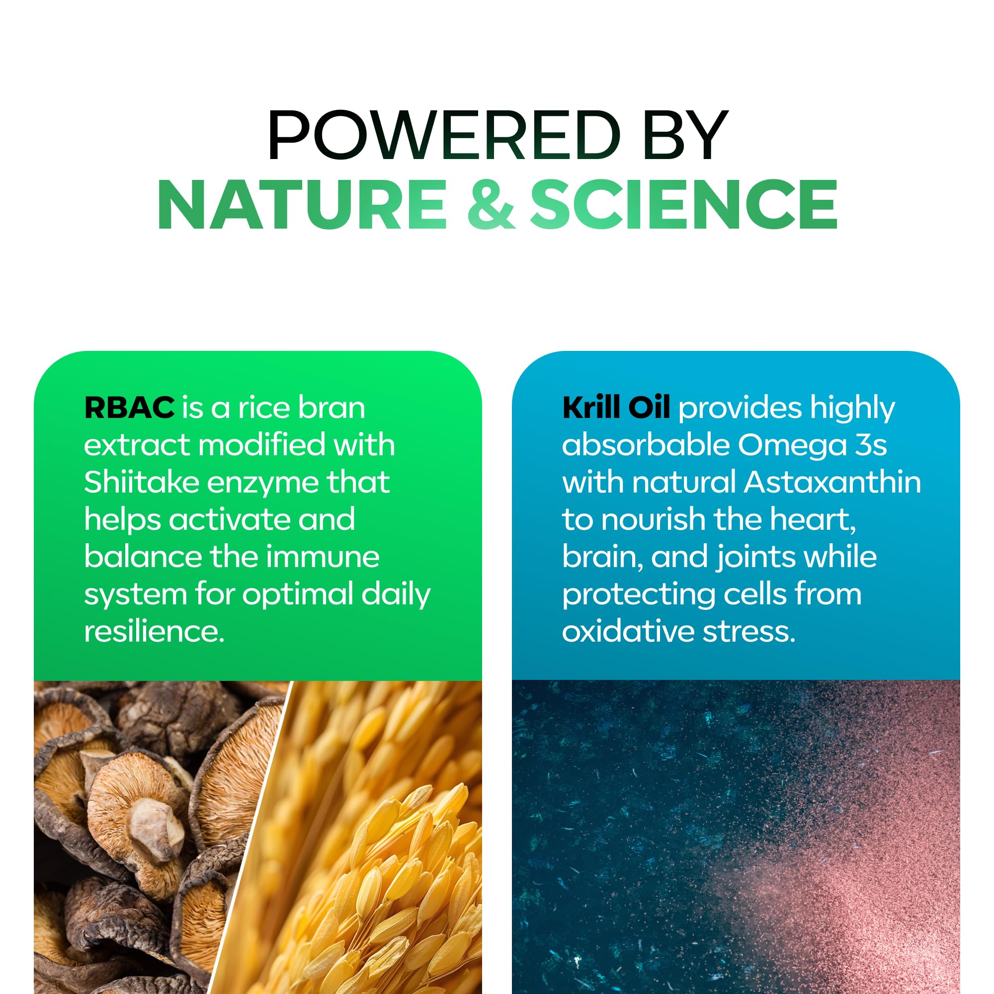 Daiwa PeakImmune4 mushroom blend capsules offer antioxidant support.