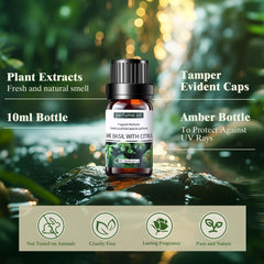Dansib amber bottle packaging preserves fragrance and quality for long-lasting aromatherapy sessions.