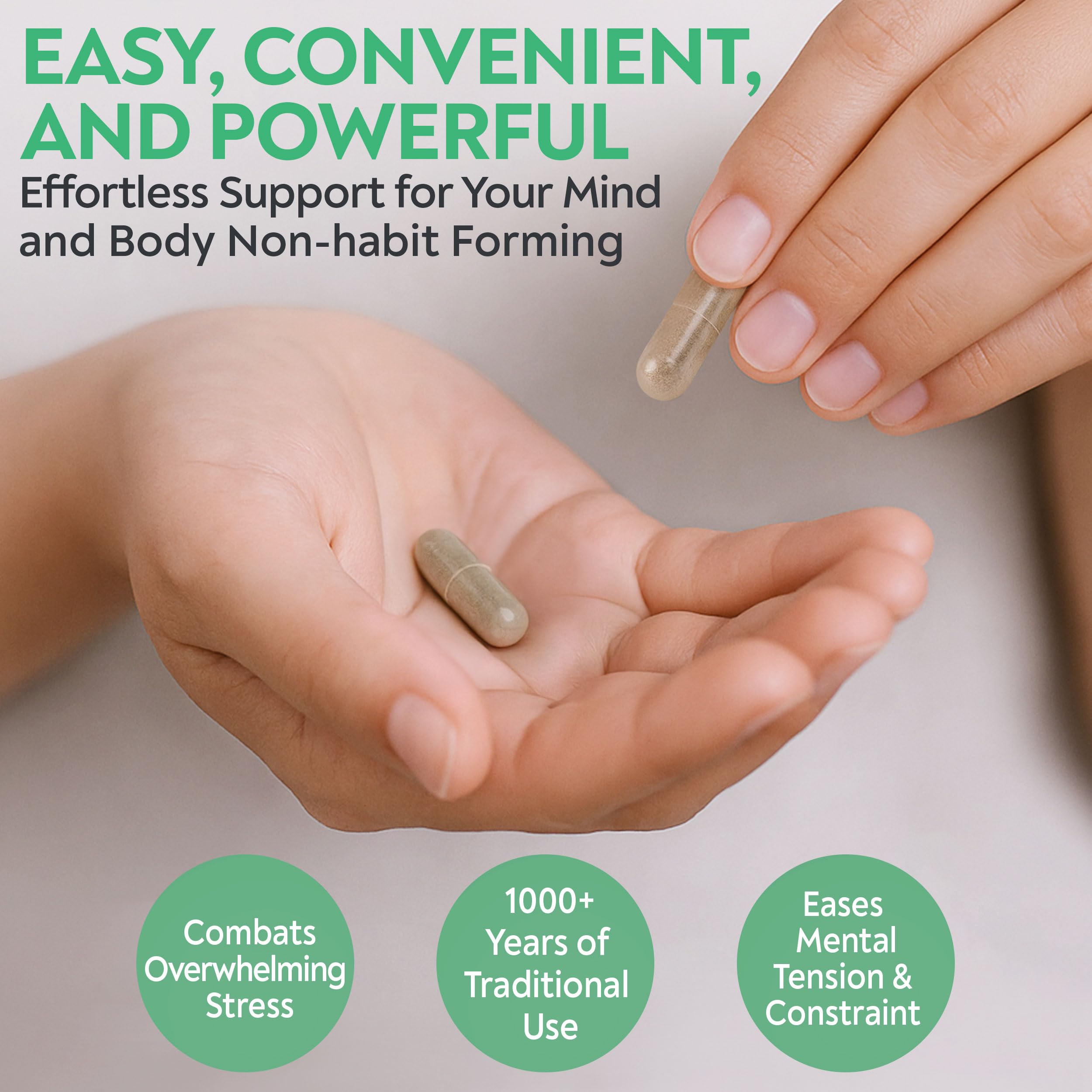 DAO Labs Free & Easy Wanderer packaging box showing NSF and cGMP assurance.