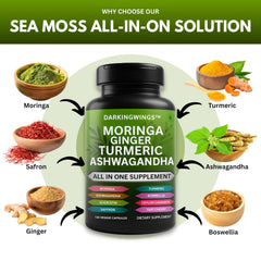 Darkingwings moringa leaf capsules for antioxidant-rich daily wellness