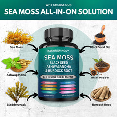 Darkingwings Sea Moss Advanced bottle with black seed oil visuals for immune benefits.