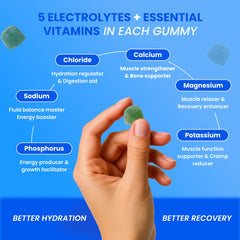 Day One Electrogummies nutrition panel highlights electrolytes and vitamins