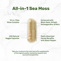 DEAL SUPPLEMENT Ashwagandha capsules promoting calm focus and resilience.