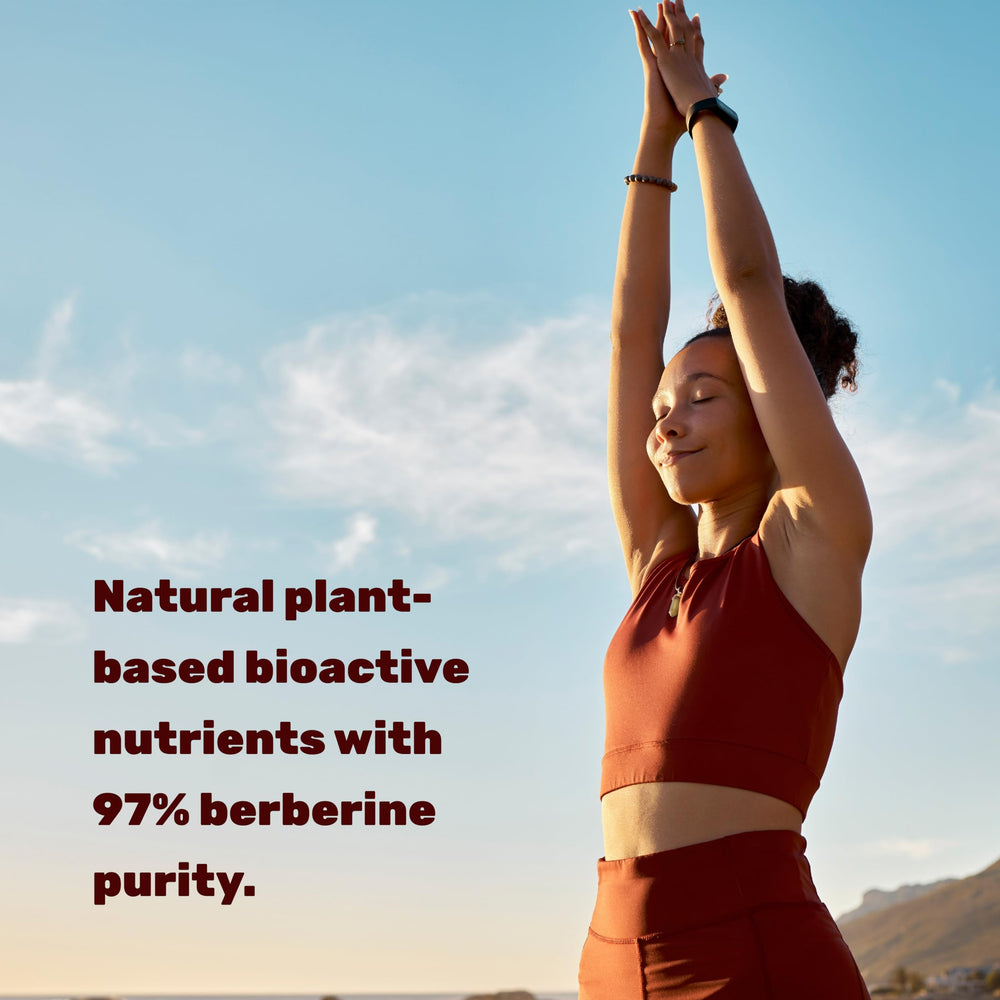 Berberine HCl 97% purity graphic indicates high-quality Berberine Max formula.