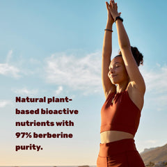 Berberine HCl 97% purity graphic indicates high-quality Berberine Max formula.