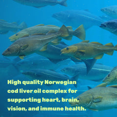 DEAL SUPPLEMENT DHA and EPA rich oil with essential nutrients