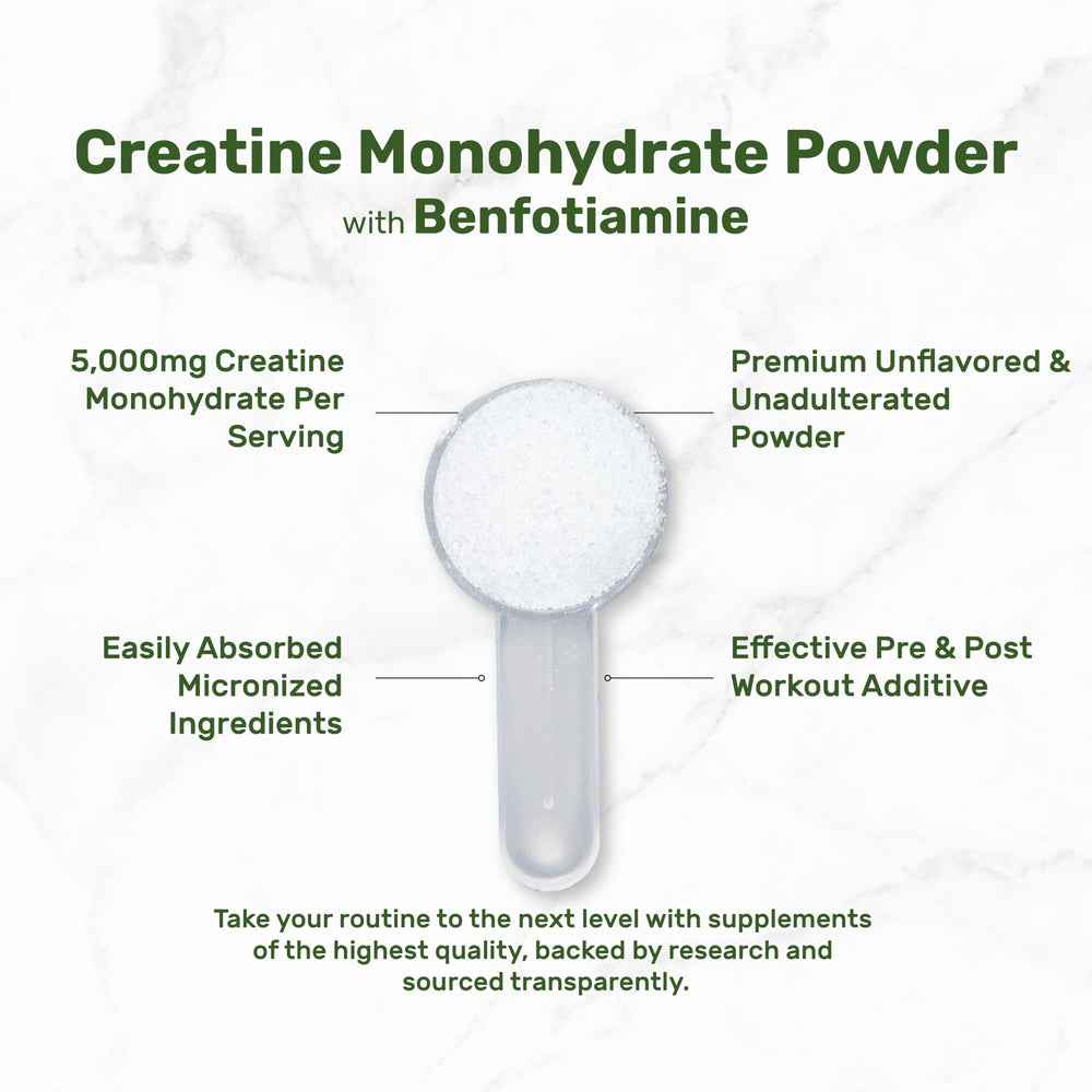 Closeup of micronized creatine powder shows fine texture for easy mixing.