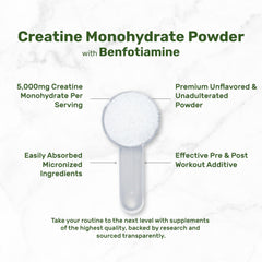 Closeup of micronized creatine powder shows fine texture for easy mixing.