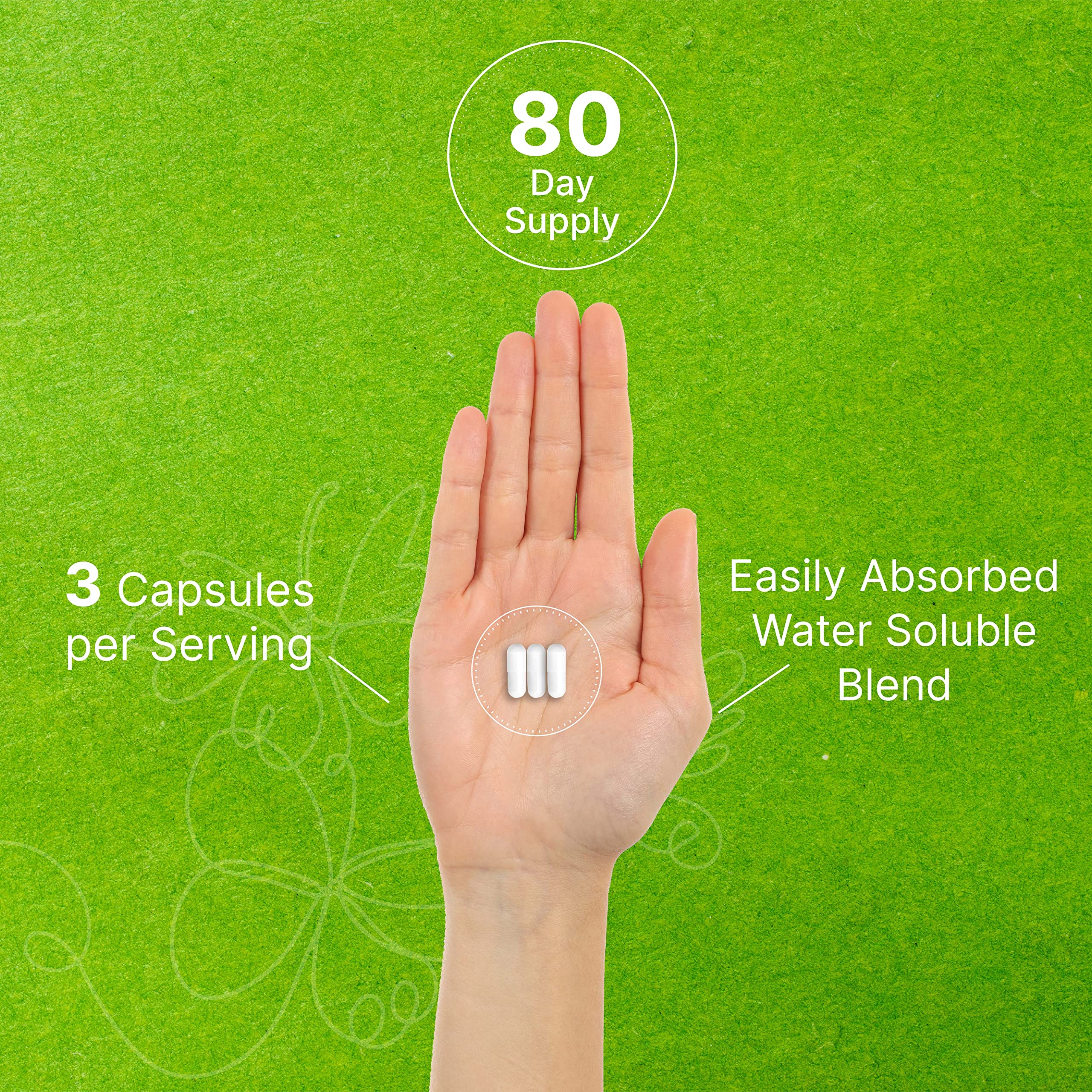 Packaging image of DEAL SUPPLEMENT showcasing 240 capsules for up to 80 days