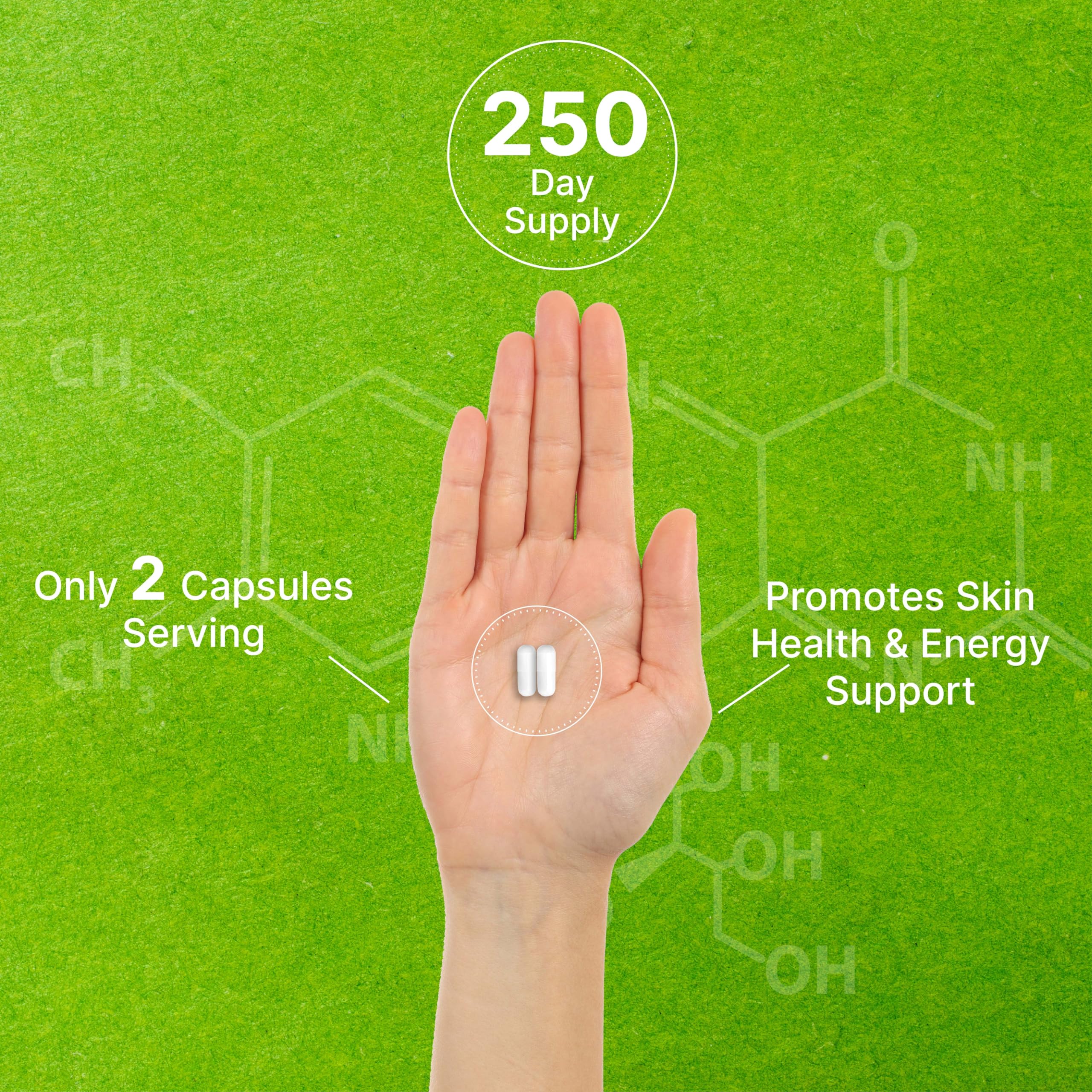 DEAL SUPPLEMENT Bottles on a shelf with soft lighting convey quality and reliability