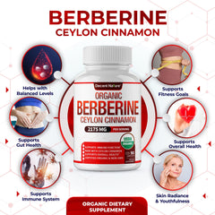 DECENT NATURE Berberine Cinnamon capsules shown for convenient daily support
