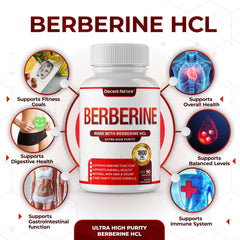 Label shows 97% Berberine HCL purity indicating high potency