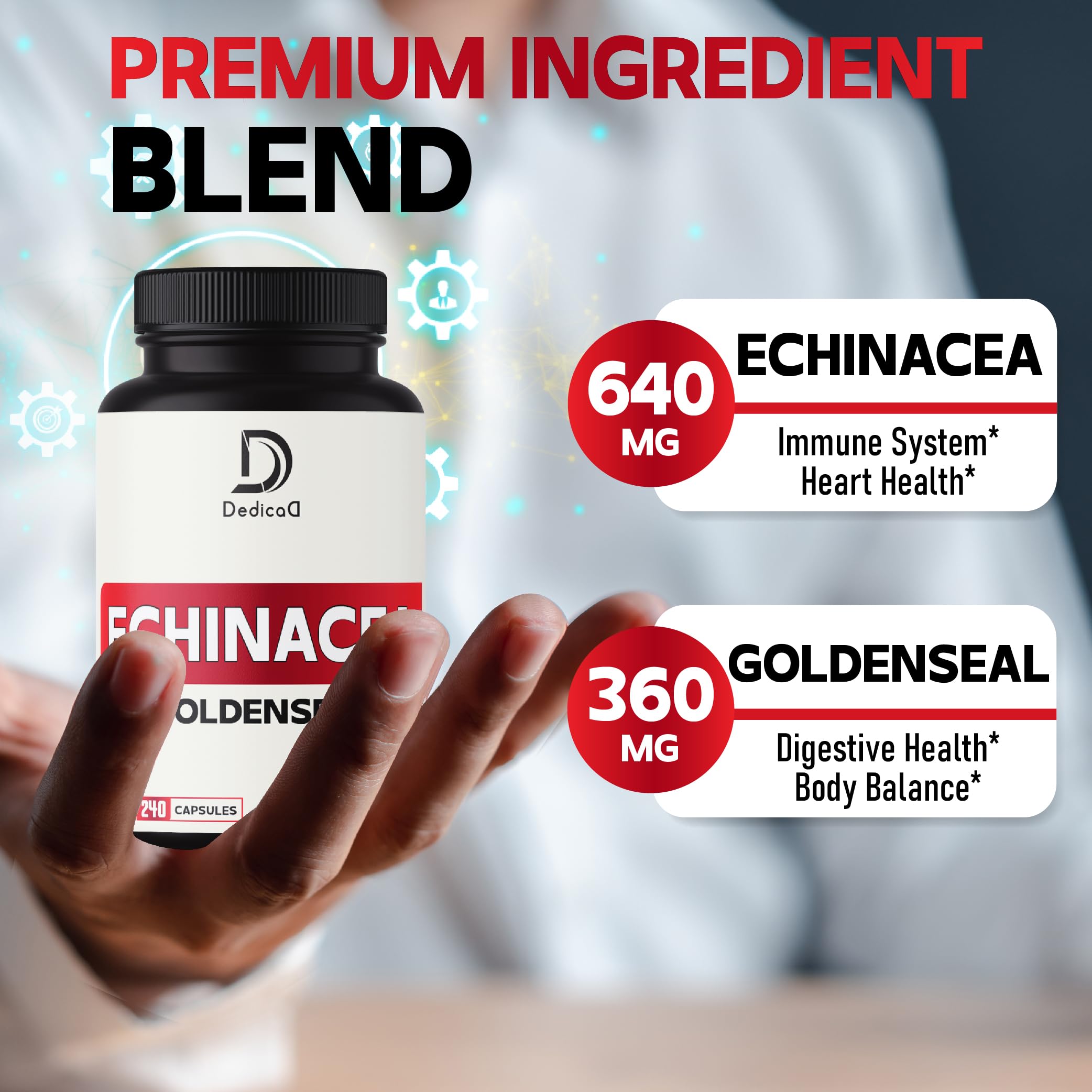 DEDICAD Echinacea Goldenseal capsules pour shows simple two-capsule daily routine