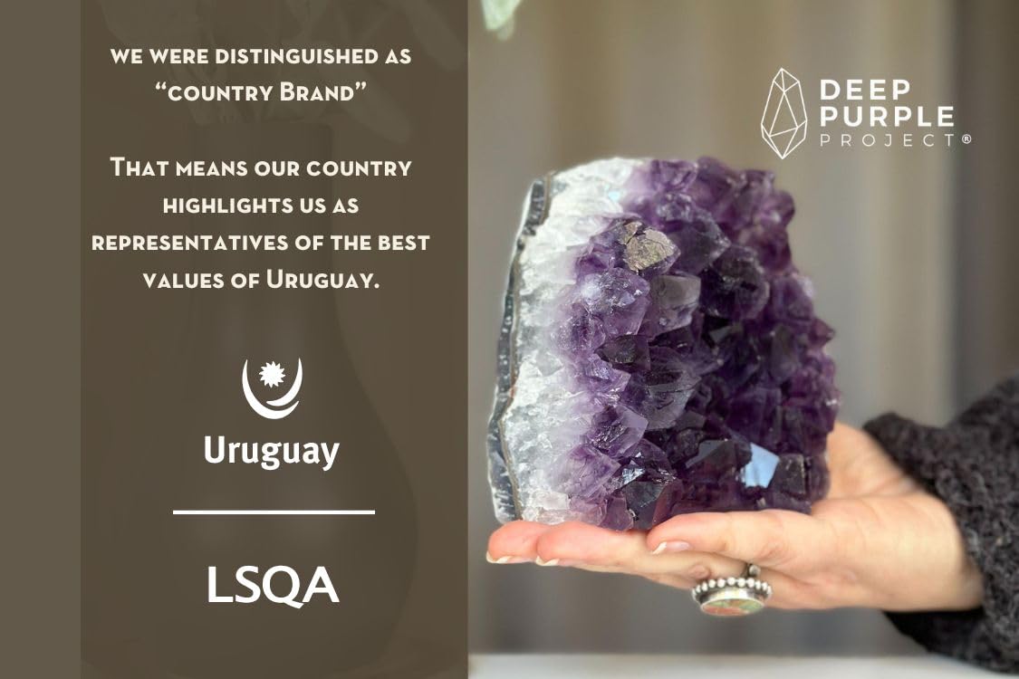 Deep Purple Project amethyst crystal closeup highlights natural facets and color.