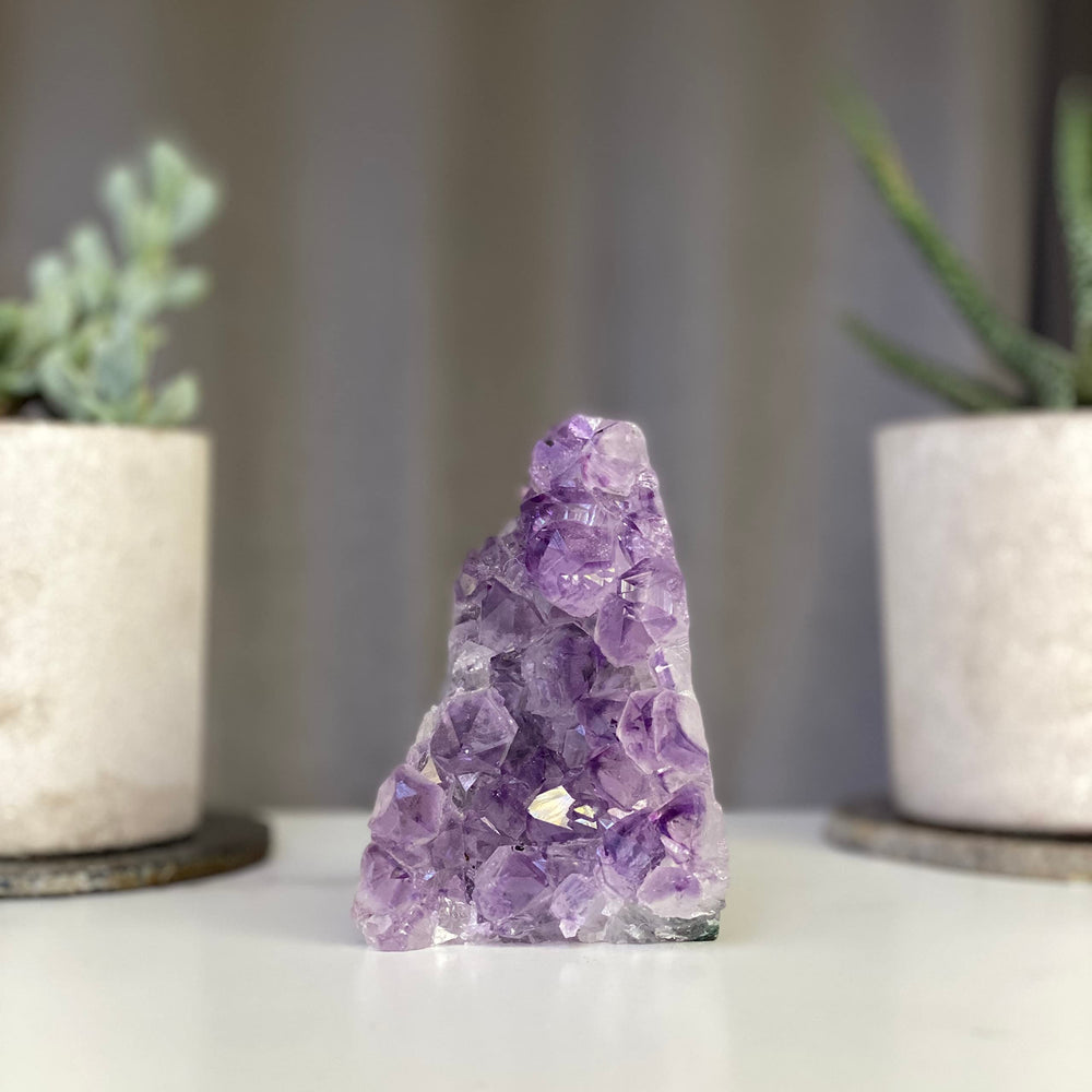 Deep Purple Project gift-ready packaging showcases premium amethyst for occasions.