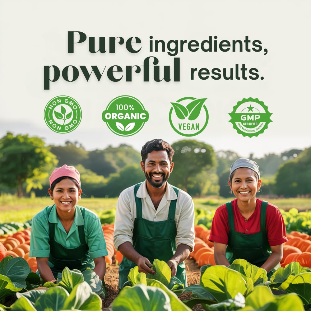 Deha 7-in-1 ingredients layout featuring moringa and elderberry richness for wellness.